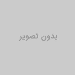 بدون تصویر